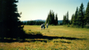 1861 Pack Trail Hike (2) - 2001