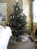 Christmas Tree and the Barkerville cat, Prancer (1)